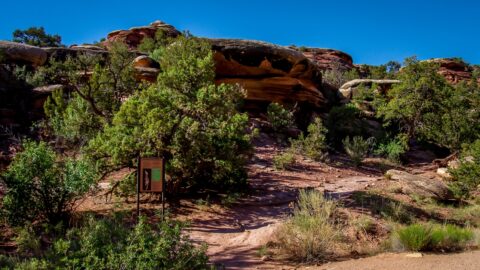 Elephant Hill Trailhead,  Needles, Canyonlands National Park, UT