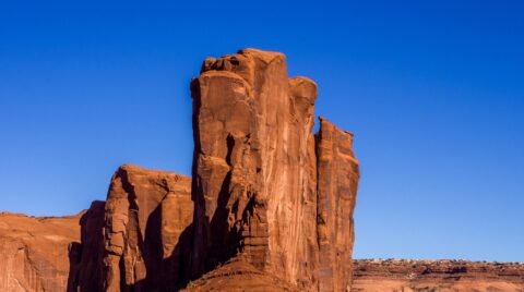 Elephant  In Monument Valley, AZ