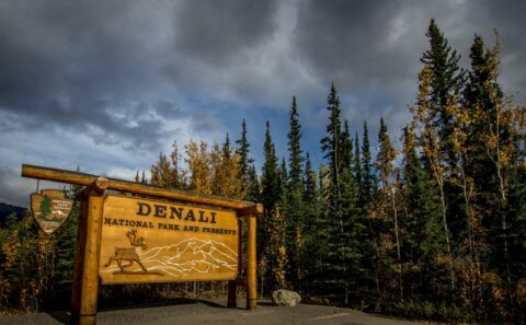Entrance To Denali National Park, AK