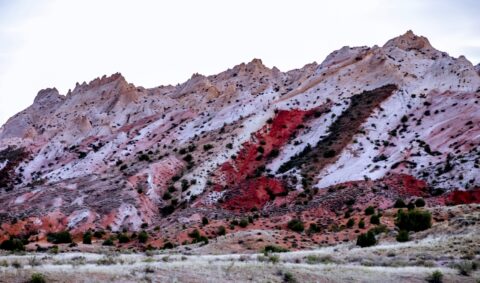 Evening Colors Of The Hill On Burr Trail, Capitol Reef, UT