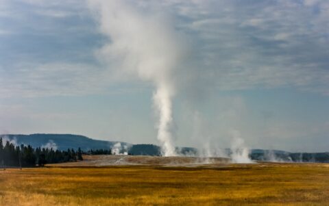 Faithful Again, Eruption Of Old Faithful Geyser In Yellowstone National Park, WY