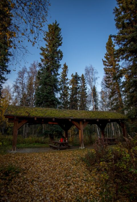 Fantastic Rest Area On Alaska Highway Next To Gestle River Black Heroes Memorial Bridge, AK