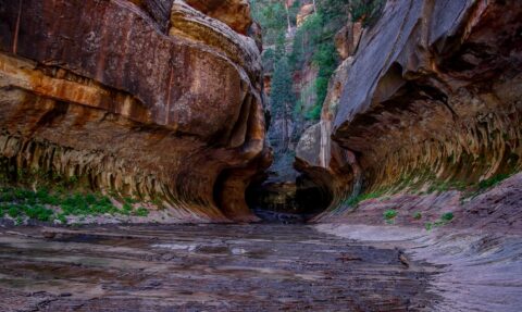 Finally!!! The Subway, Zion National Park, UT