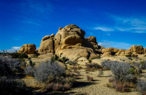 Giant Rocks In Joshua Tree National Park, CA