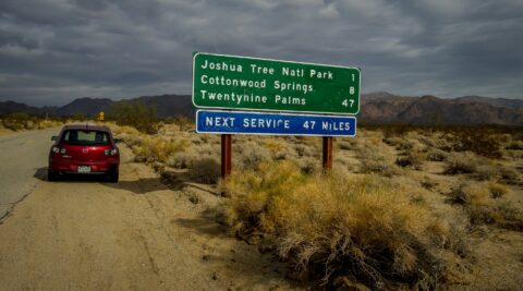 Hey Josh-Wah (Do You Really Know Where  You Are Going To)  Joshua Tree National Park, CA
