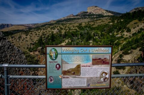 Highway 14 Vista In Bighorn National Forest, WY
