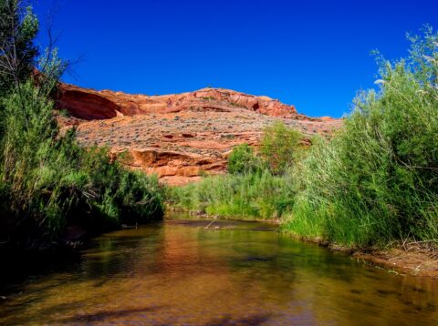 Hike Through Escalante River towards  Neon Canyon, Grand Staircase Escalante, UT
