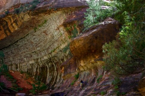 Hikers On The Trail near the Subway,  Zion National Park, UT
