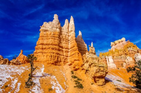 Hoodoos Along Trail In Bryce Canyon National Park, UT