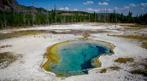 Hot Pool In Biscuit Basin, Yellowstone National Park, WY