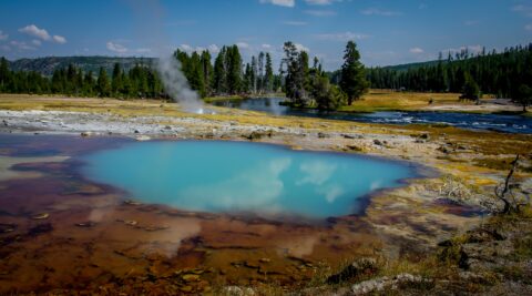 Hot Pool In Biscuit Basin, Yellowstone National Park, WY