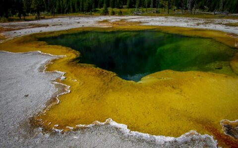 Hot Pool, Yellowstone National Park, WY