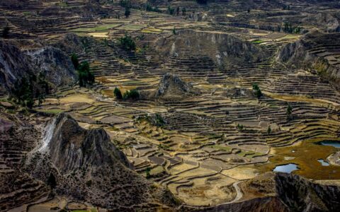 Nice Terraces In Colca Canyon, Peru