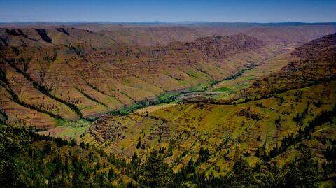 Imnaha River Gorge, Wallowa-Whitman, OR