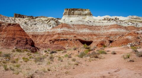 In Search For Toadstools, Grand Staircase Escalante National Monument, UT