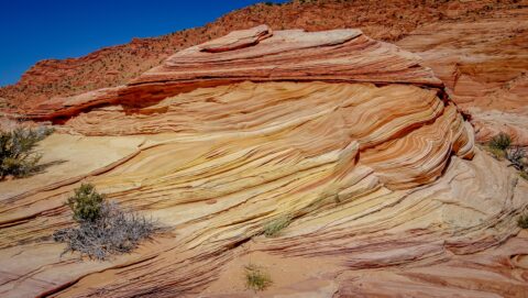 Just Outside Of  The Wave, AZ