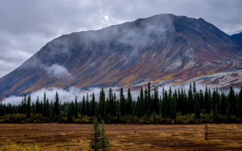 Kesugi Ridge. Denali State Park, AK