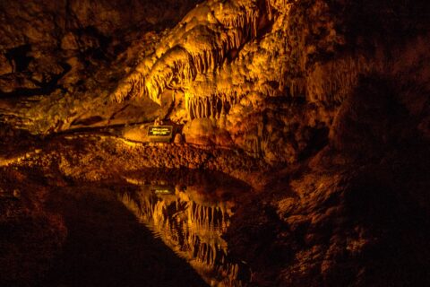 Lake Reflection In Carlsbad Cavern National Park, NM