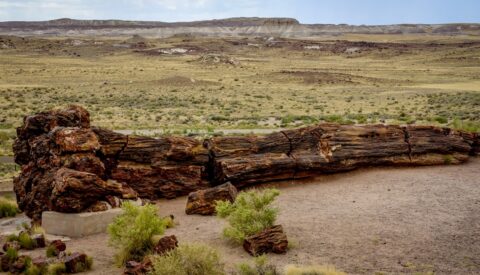 Landscape Of Petrified Forest National Park, AZ
