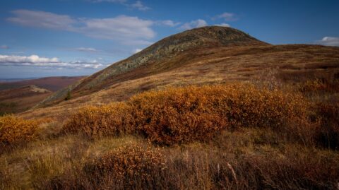 Landscape Of Top Of The World Highway, Chicken, AK