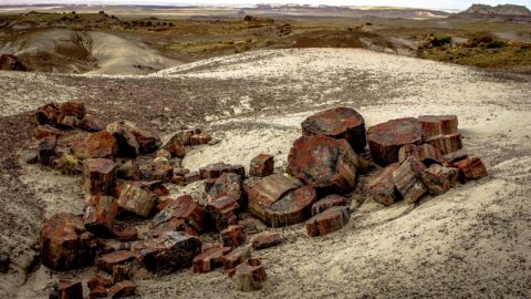 Like Tokens In The Bowl, Petrified Forest National Park, AZ