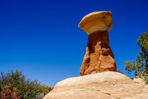 Lonely Goblin In Devils Garden, Grand Staircase Escalante National Monument, UT