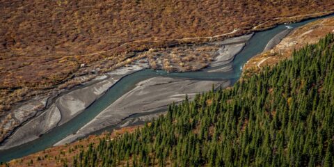 Look At Savage River From Savage Alpine Trail In Denali National Park, AK
