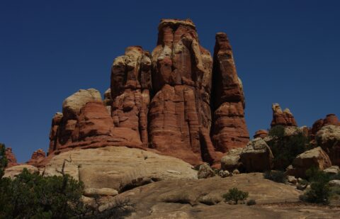 Needles Around Devil’s Kitchen,  Needles, Canyonlands National Park, UT