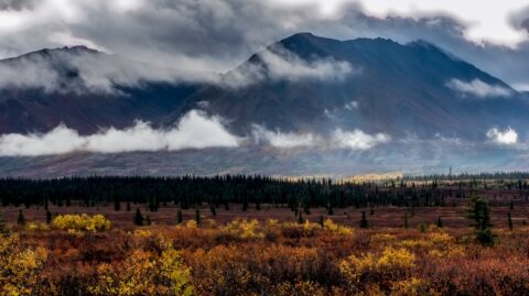Look From Parks Highway At Kesugi Ridge, Denali State Park, AK