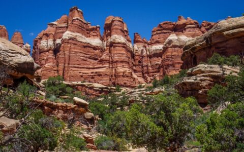 Hike Through Elephant Canyon At Needles, Canyonlands National Park, Moab,UT