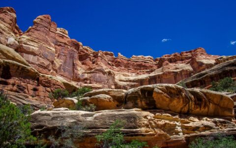 Look From The Bottom Of Elephant Canyon On The Way Druid Arch, Needles, Canyonlands National Park, Moab, UT