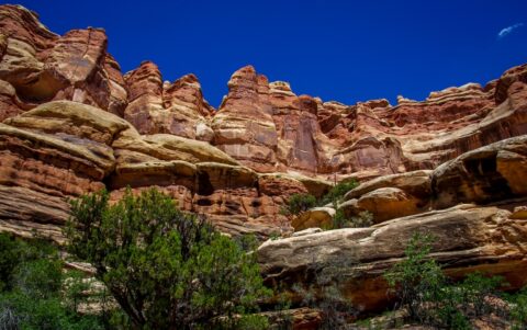 Look At Giant Needles From The Bottom Of Elephant Canyon At Needles , Canyonlands National Park,, Moab, UT