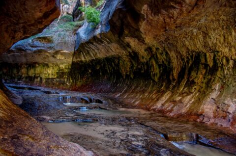 Magic Of The Subway, Zion National Park, UT