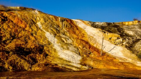 Palette Springs, Mammoth Hot Springs, Yellowstone National Park, WY