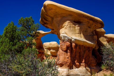 Metate Arch In Devils Garden, Grand Staircase Escalante National Monument, UT