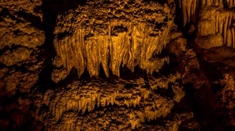 Nature Abstract Art In Carlsbad Caverns National Park, NM