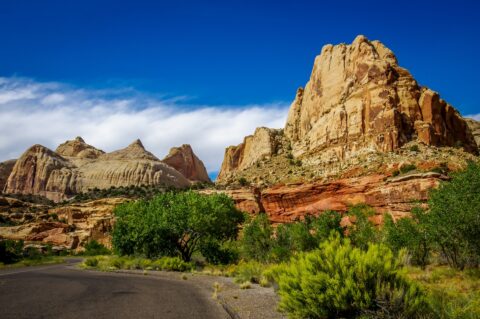 Navajo Dome, Capitol Reef National Park, UT