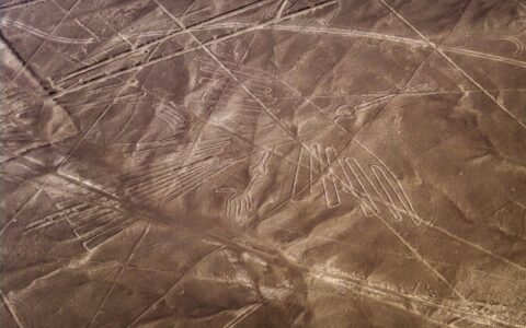 Nazca Lines, Condor, Nazca Peru
