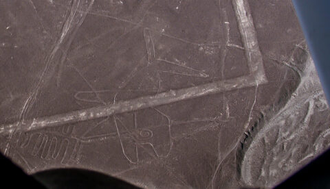 Nazca Lines, Whale, Nazca, Peru