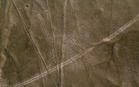 Nazca Lines, Dog, Nazca Peru