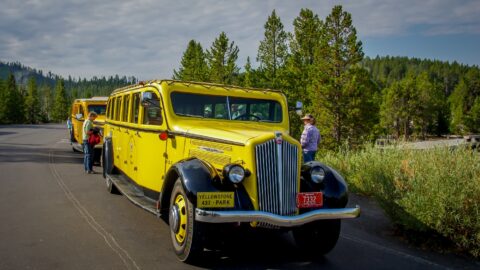 Obviously Cars Are Yellow, Yellowstone National Park, WY