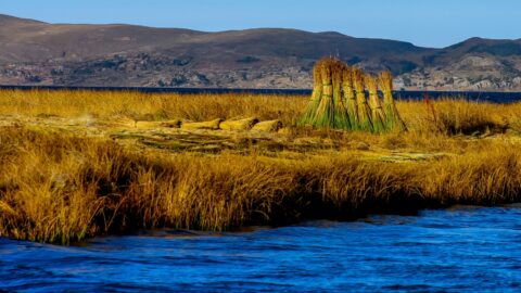 Late Afternoon Scenery On Lake Titicaca, Peru