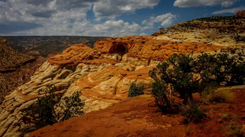 On The Trail To Cassidy Arch, Capitol Reef National Park, UT