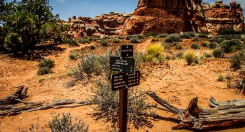 One Way… Or Another, Chesler Park, Needles, Canyonlands National Park, UT