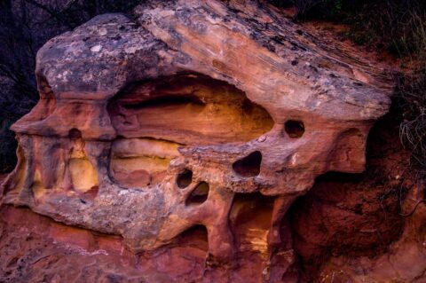Picasso Face, Or??? Upper Muley Twist Canyon, Capitol Reef National Park, UT