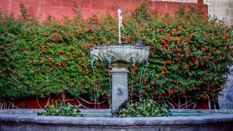 Pigeon Fountain In Monasterio de Santa Catalina, Arequipa, Peru
