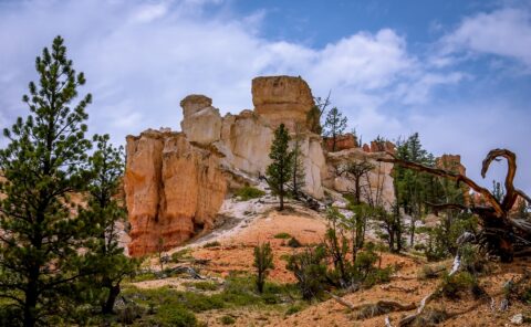 Pink Cliffs, Bryce Canyon National Park, UT