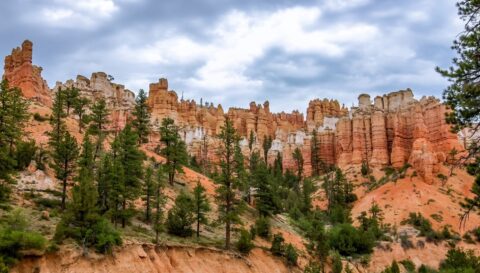 Pink Cliffs Scenery, Bryce Canyon National Park, UT
