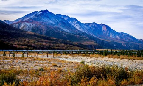 Pipeline Along Richardson Highway, AK