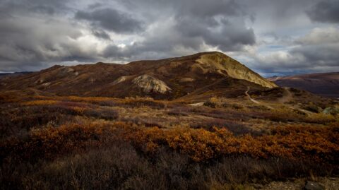 Polichrome Pass, Denali National Park, AK